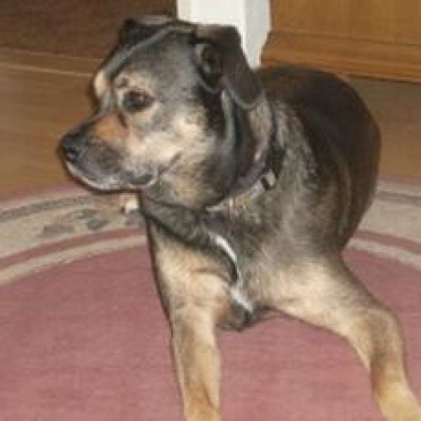 Odin