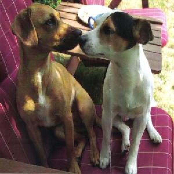Spencer & Xenia