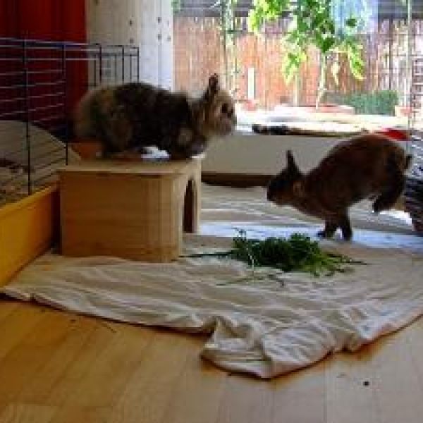 Nelly und Tessi