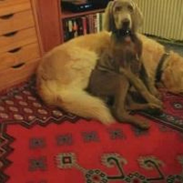 Perla und Spencer