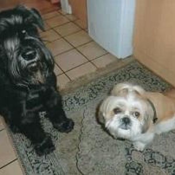 Ronny und Struppi