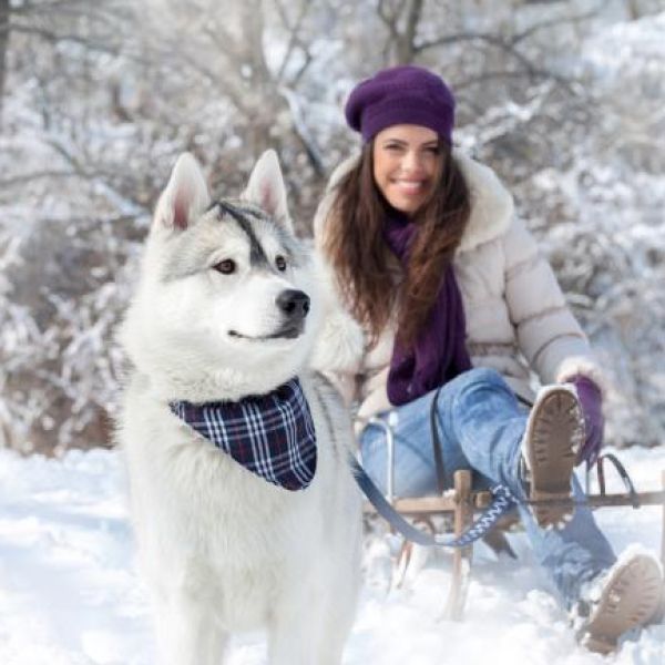 Tiersitterin mit Hund im Schnee